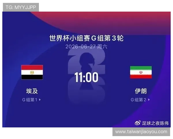 世界杯埃及队与伊朗队比赛中国旗的视觉表现及其对球迷情感的影响分析